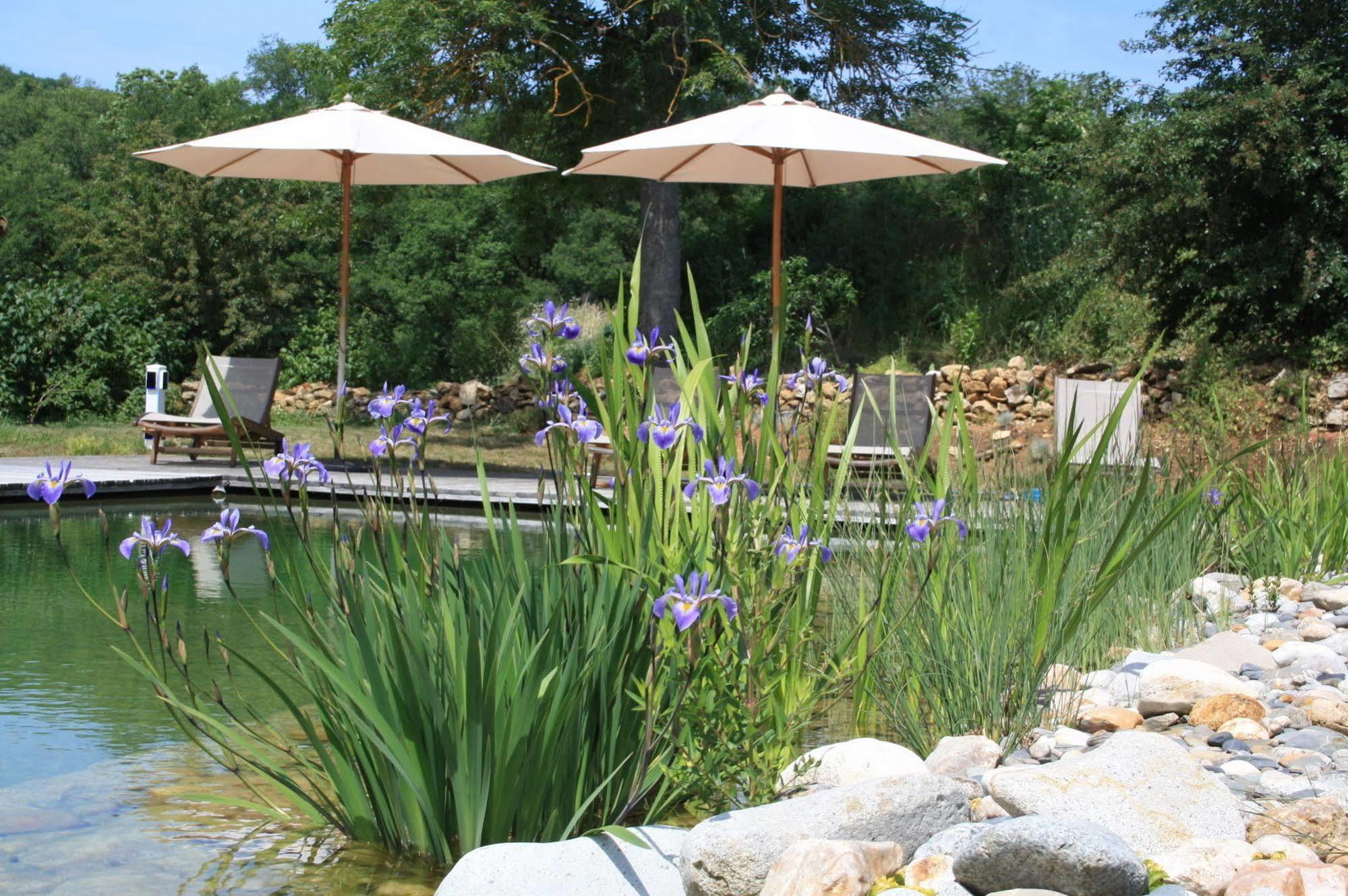 Le Hameau Du Quercy Bed & Breakfast Frontenac  Exterior foto